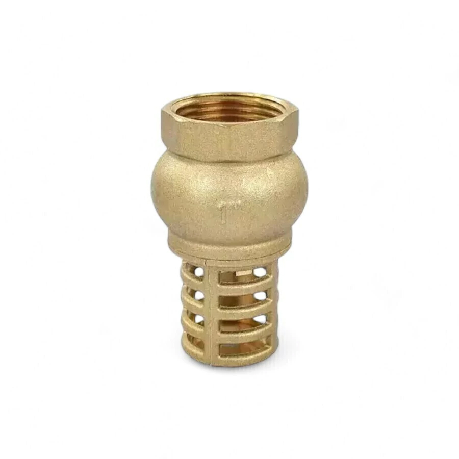 Valvula De Pie 2" Cnx VAPI32